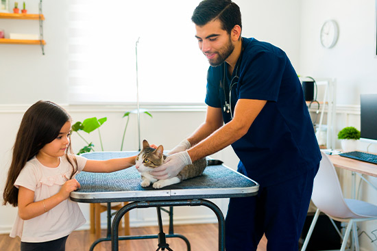A man and a little girl are lovingly petting a cat, highlighting a warm interaction between the child and the pet.